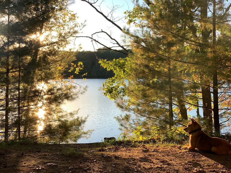 Brunet Island State Park - Cornell