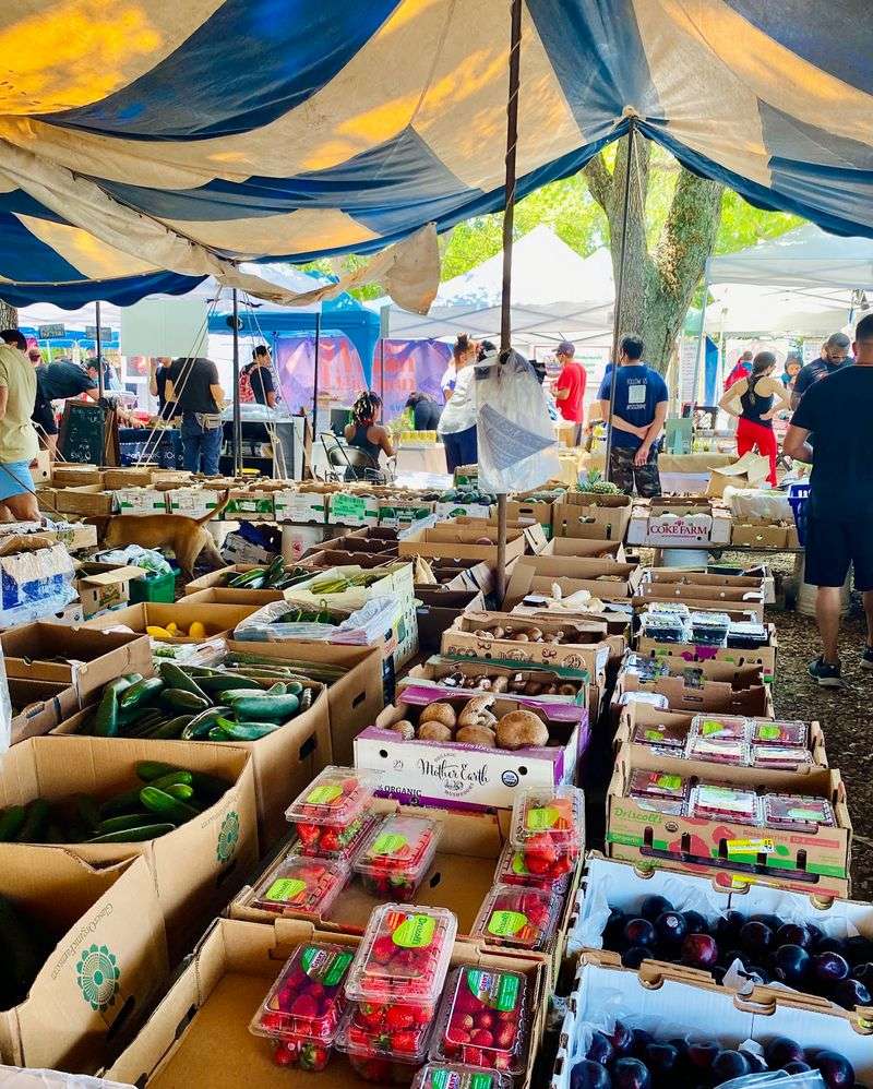 Coconut Grove Farmers Market