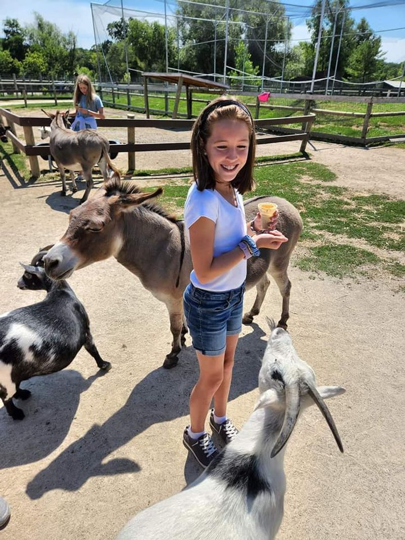 Animal Gardens Petting Zoo - Delavan