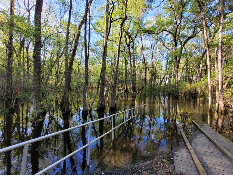 Aiken State Park - Windsor