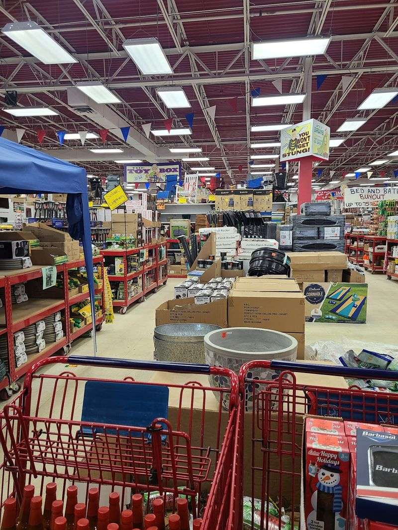 Treasure Hunt Finds: Ollie's Bargain Outlet in Flint, Genesee County,