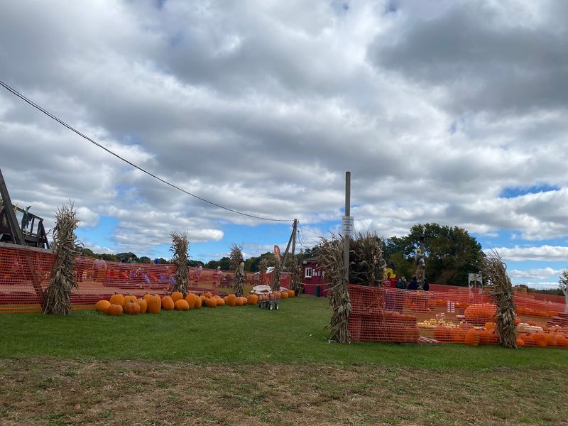 Sissons' Pumpkin Patch - Girard