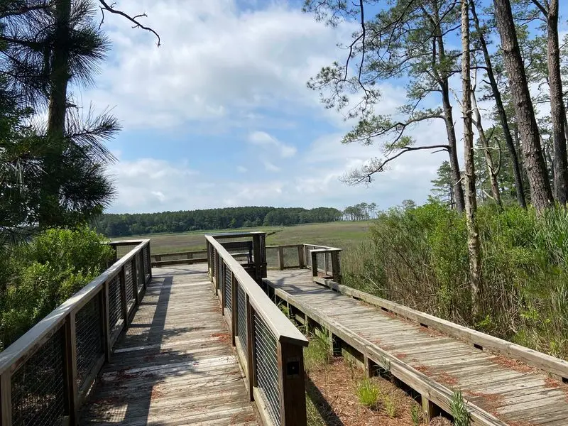 Thompson Island Trail