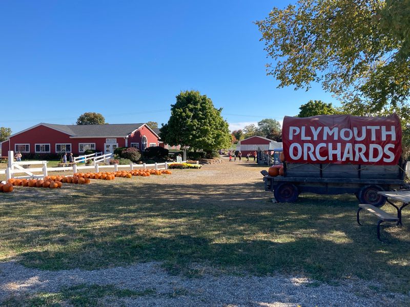 Plymouth Orchards & Cider Mill - Plymouth