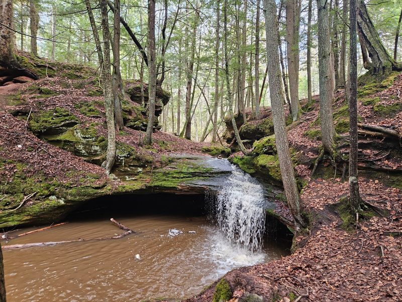 Houghton Falls Trail - Washburn