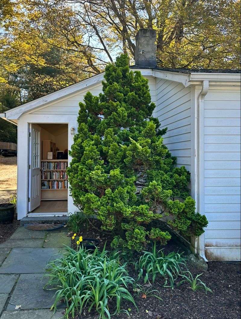 Some Books - Ridgefield