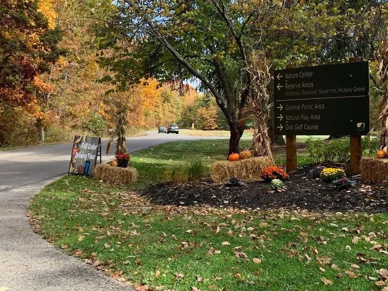 Leafy Ravines on Goldenrod Trail