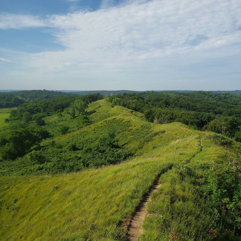 Loess Hills State Forest