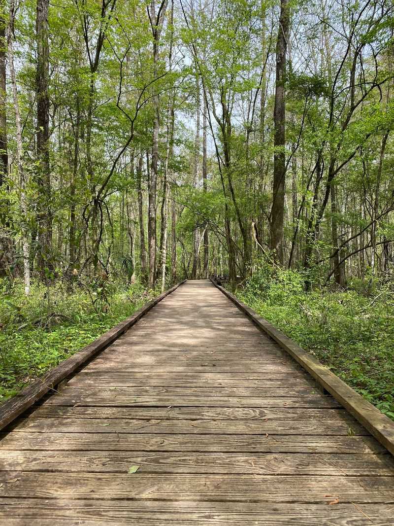 Wakulla Springs Trail in Wakulla Springs, Wakulla County,