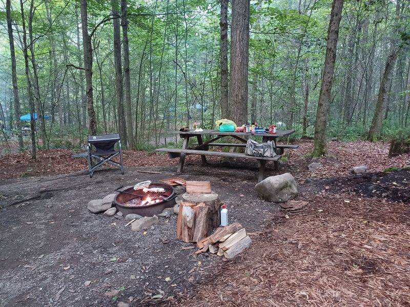 Worlds End State Park, Forksville