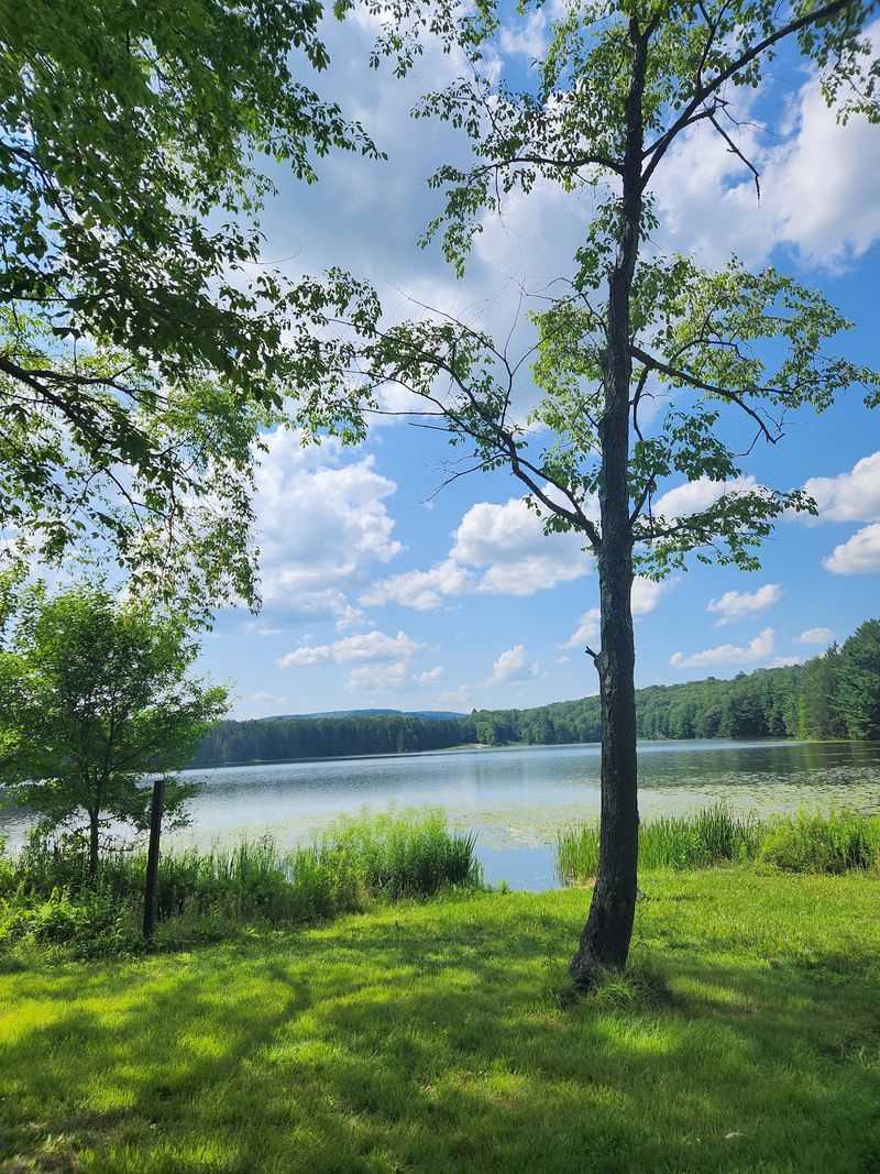 Hills Creek State Park, Wellsboro