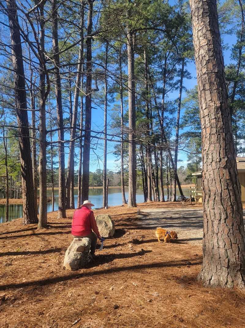 Dowdells Knob Loop at F.D. Roosevelt State Park, Pine Mountain, Harris County