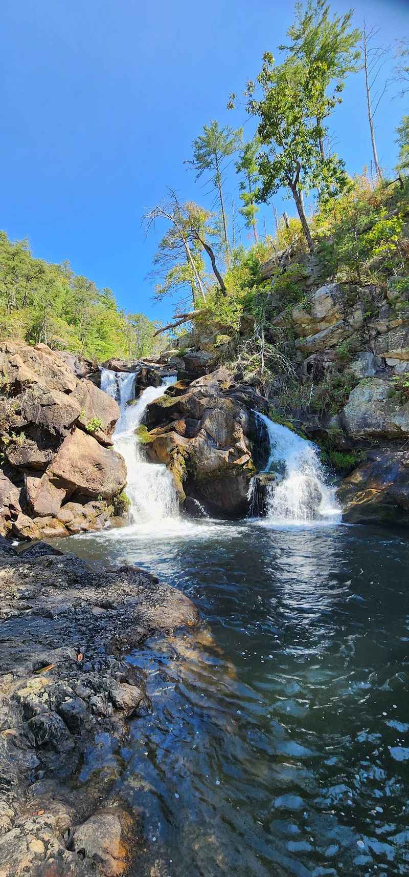 Jacks River Trail, Cisco, Fannin County