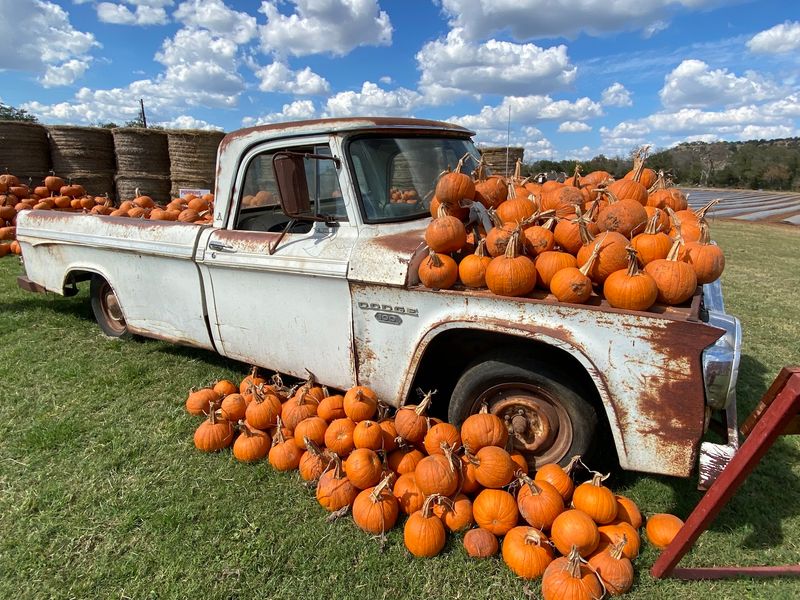 Sweet Berry Farm - Marble Falls