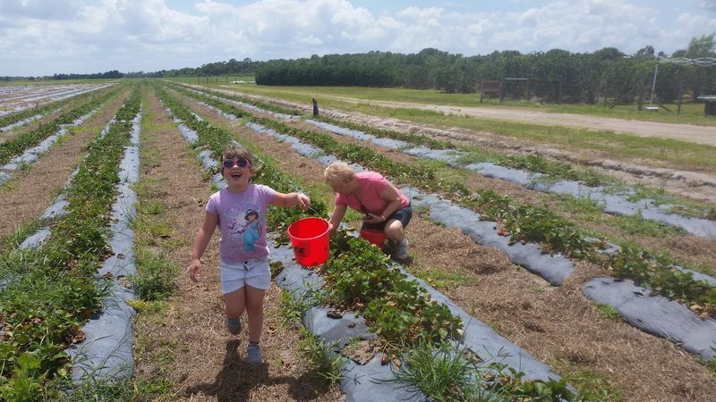 A Florida Farm With Decades Of Agricultural History
