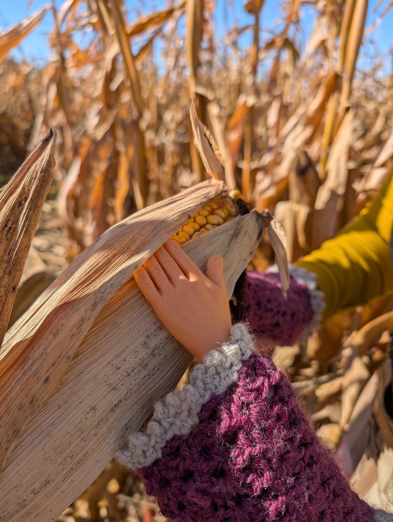 A Corn Maze Made for Teamwork