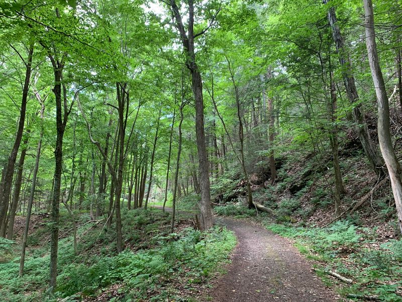 Bash Bish Falls Trail - Mount Washington