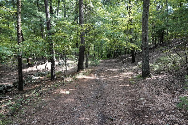 Moose Hill Farm Trails - Sharon