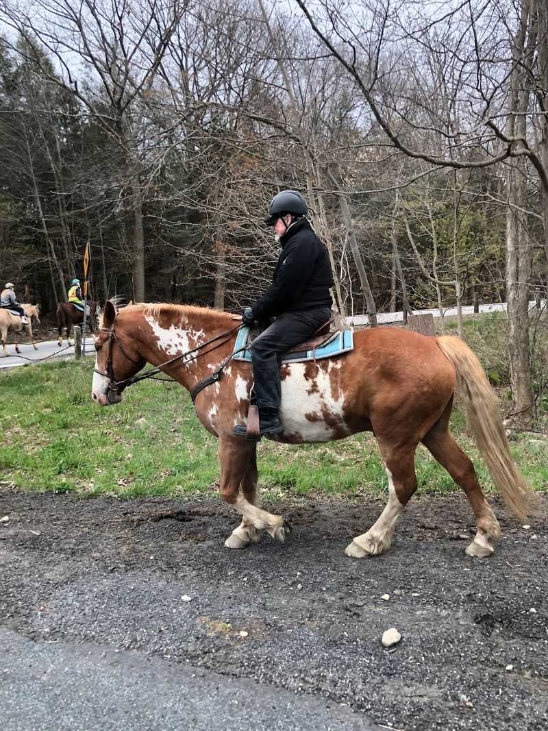 Keep Learning After the Ride