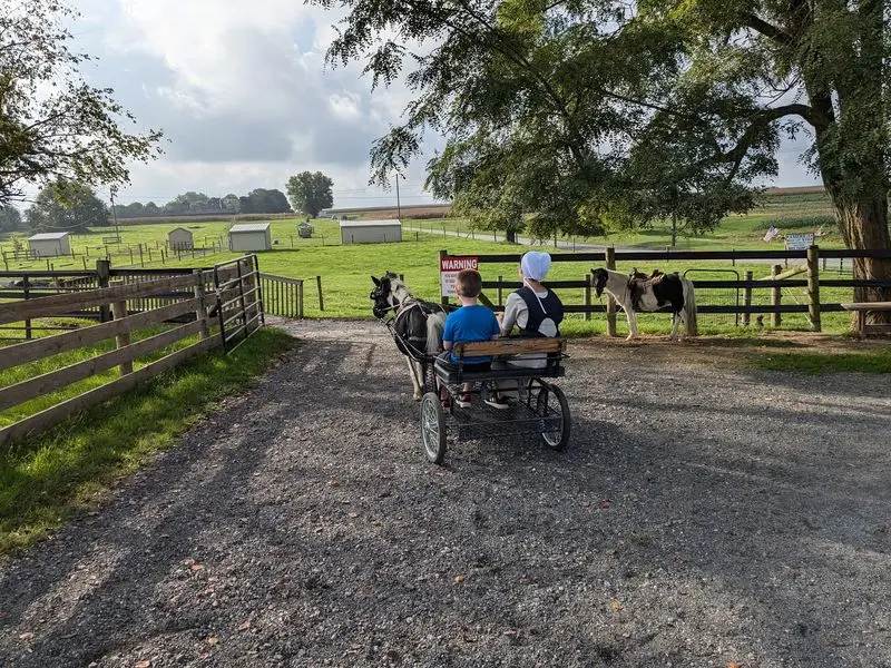 The Li'l Country Store & Miniature Horse Farm - Ronks