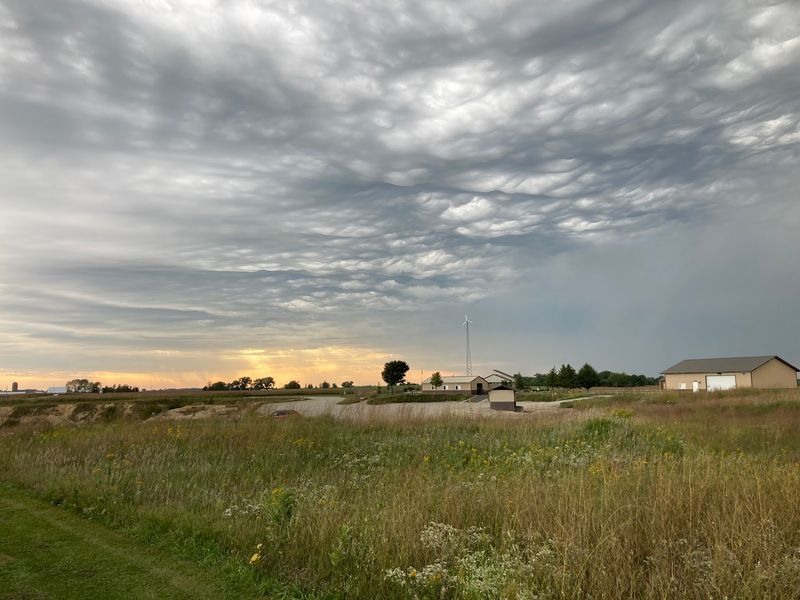 Prairie Color Beyond the Fossil Beds