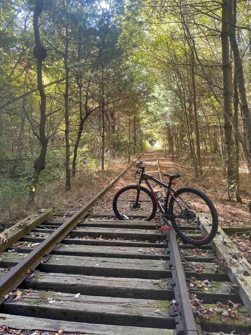 Medfield Rail Trail - Medfield