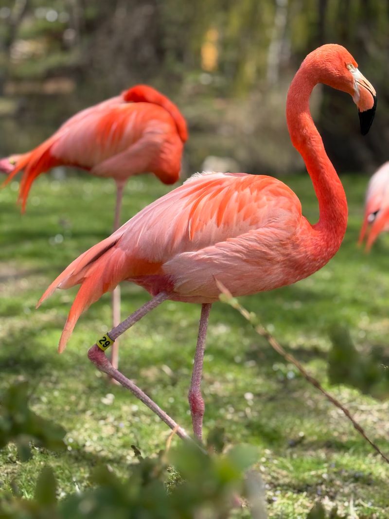 A Big Zoo Day With Plenty of Choices - Milwaukee County Zoo in Milwaukee, Milwaukee County