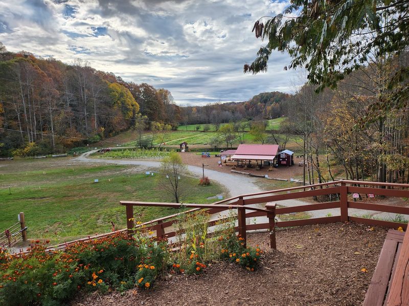 Red Apple Barn - Ellijay