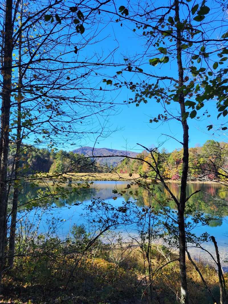 Black Rock Mountain Summit Trail, Mountain City, Rabun County