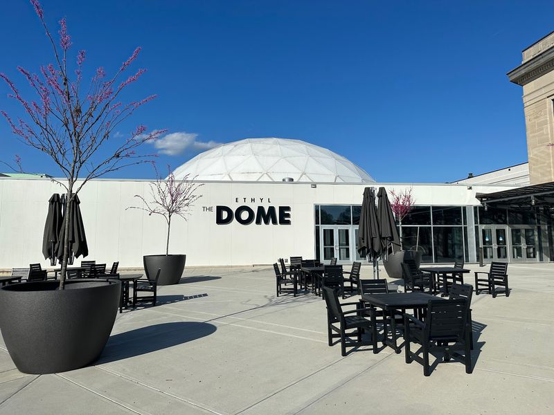 Look Up in The Dome