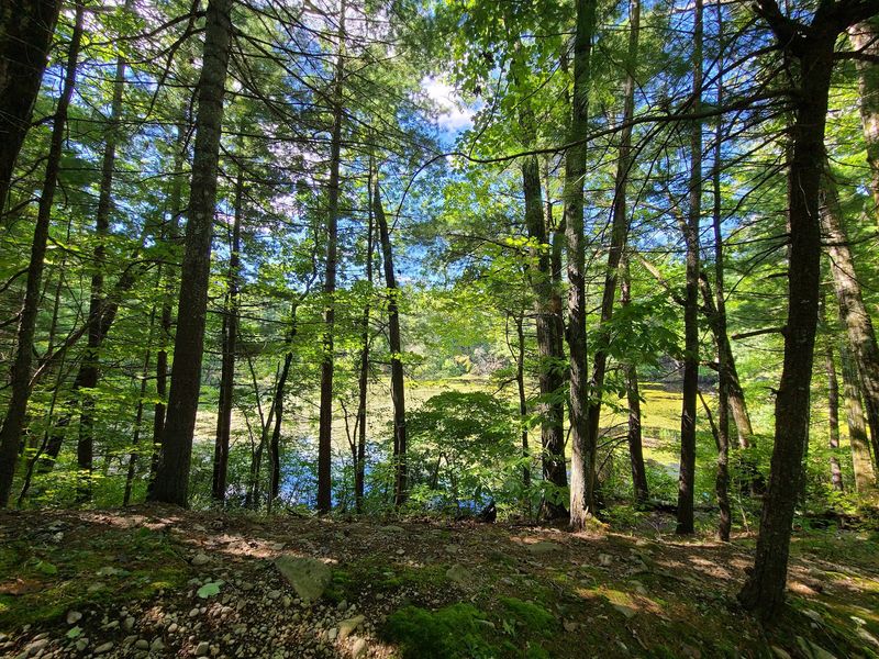 Noanet Woodlands Trail, Dover, Norfolk County