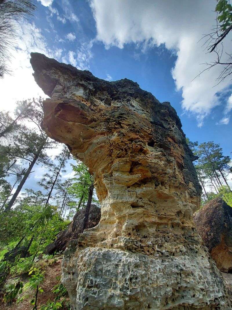 Peachtree Rock Trail, Lexington, Lexington County