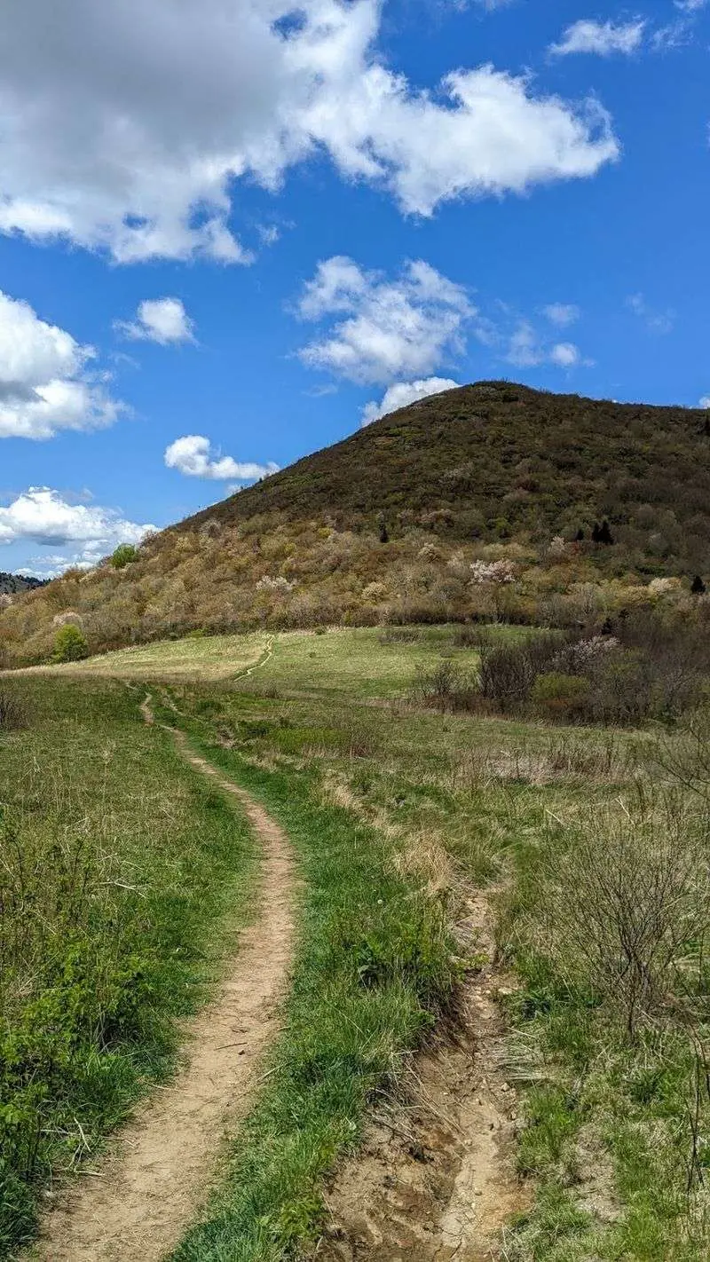 Sam Knob Trail, Canton and Haywood County,