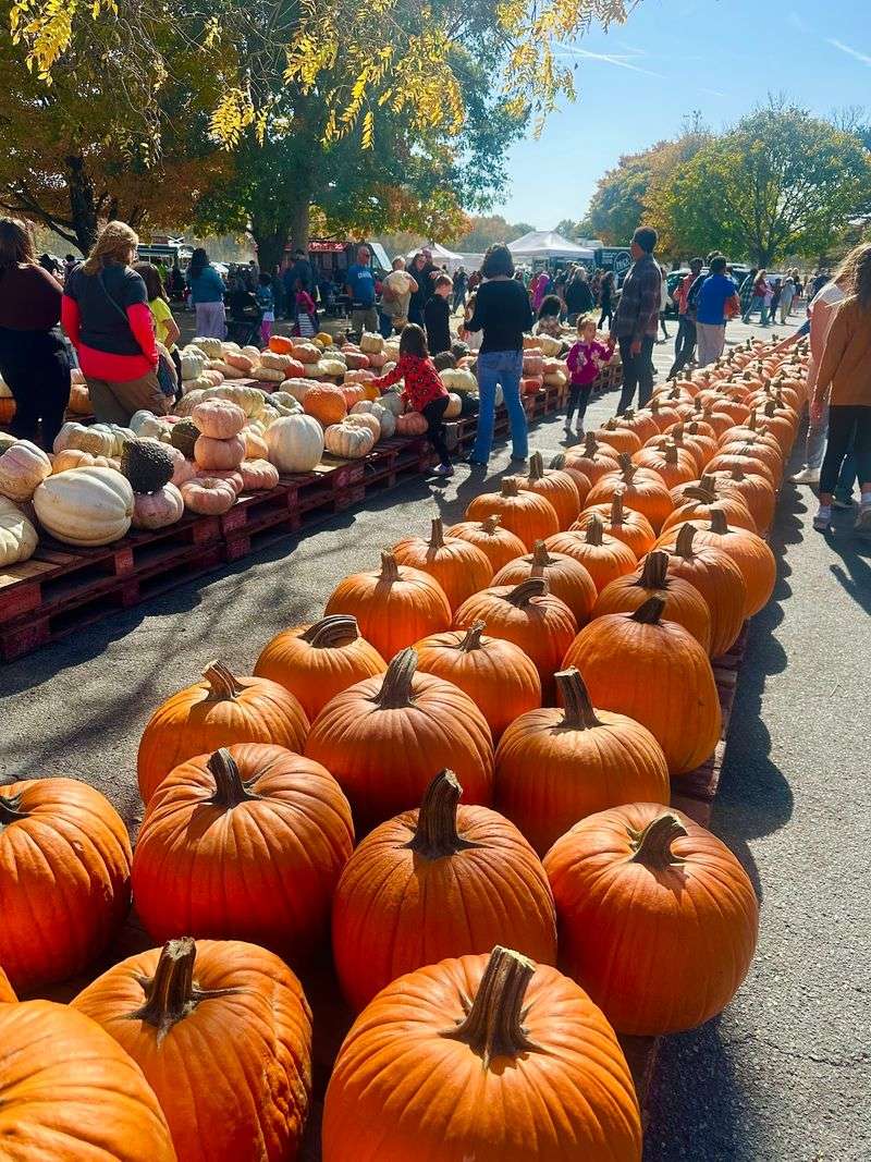 Fifer's Farm - Camden-Wyoming