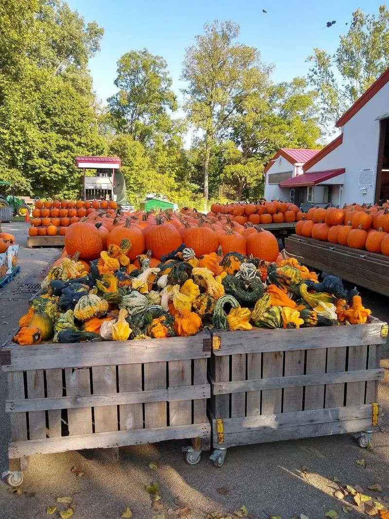 Szalay's Farm & Market in Peninsula