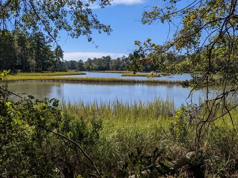 Hoffler Creek Wildlife Preserve - Portsmouth