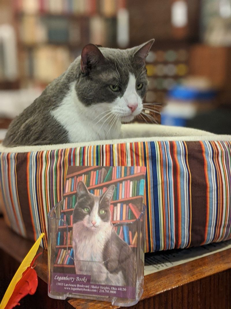 Helpful Staff Who Know Their Shelves
