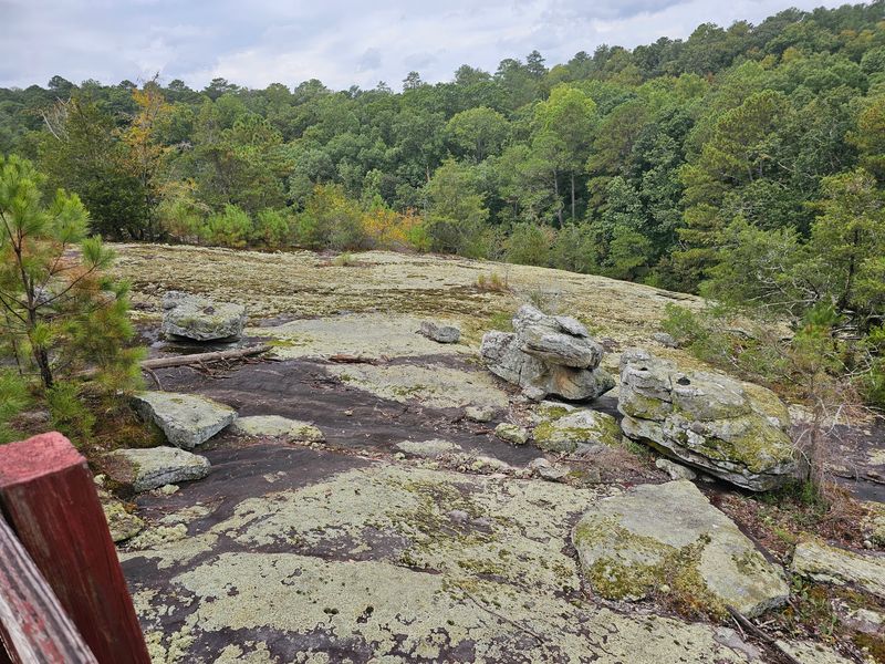 The Rock Landscape Changes Completely With the Seasons