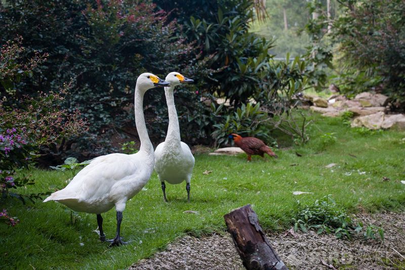 Peaceful Paths Make The Visit Easy