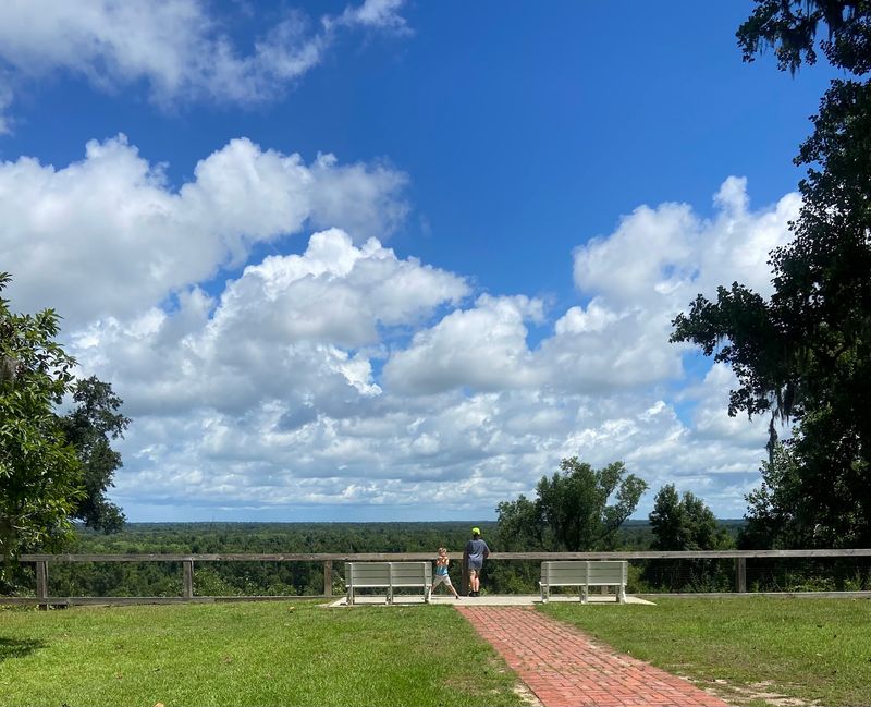 Torreya State Park Bluff Trail, Bristol, Liberty County