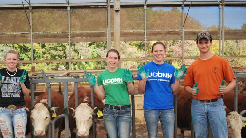 UConn Animal Barns, Storrs, Tolland County