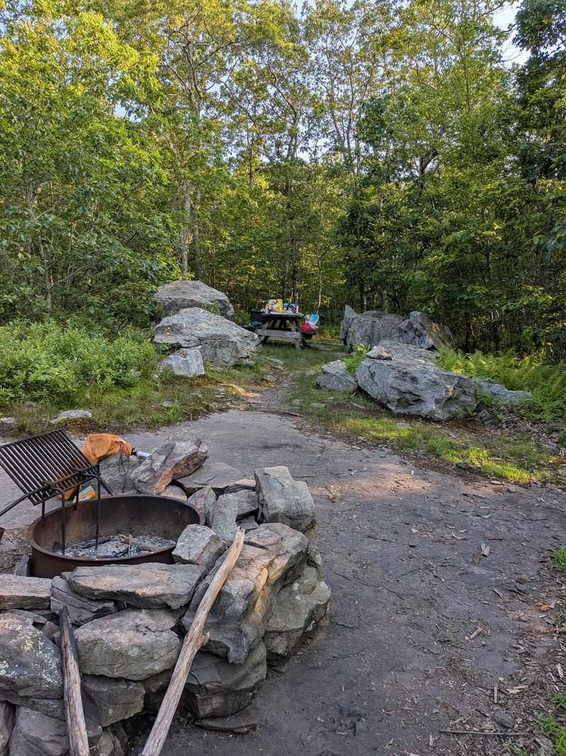 Delaware State Forest, Pocono Mountains