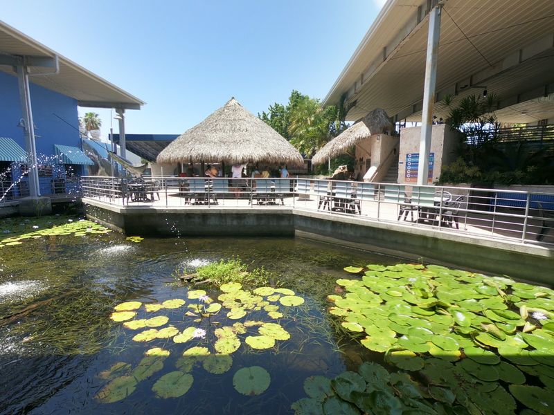A Bayfront Break Between Exhibits