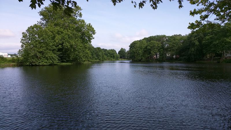 Horsey Pond - Laurel