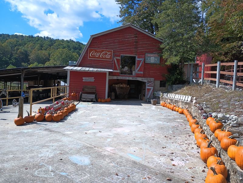Hillside Orchard Farms - Lakemont