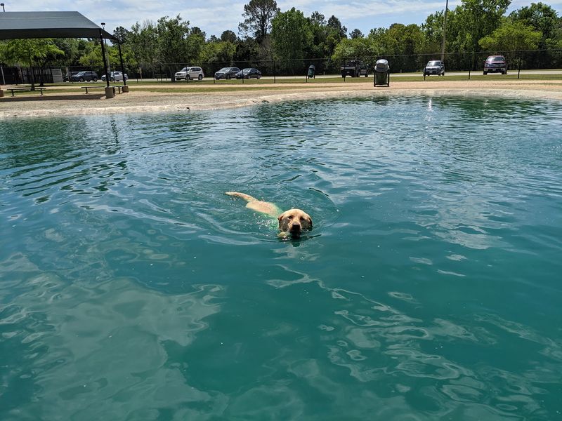 Congressman Bill Archer Dog Park - Houston