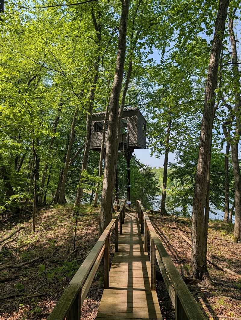 Arcadia Wildlife Sanctuary - Easthampton & Northampton