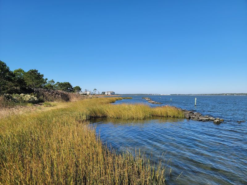 Holts Landing State Park - Dagsboro