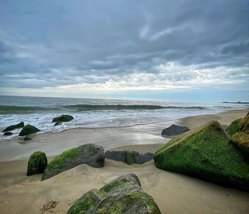 Cape Henlopen State Park, Lewes, Sussex County