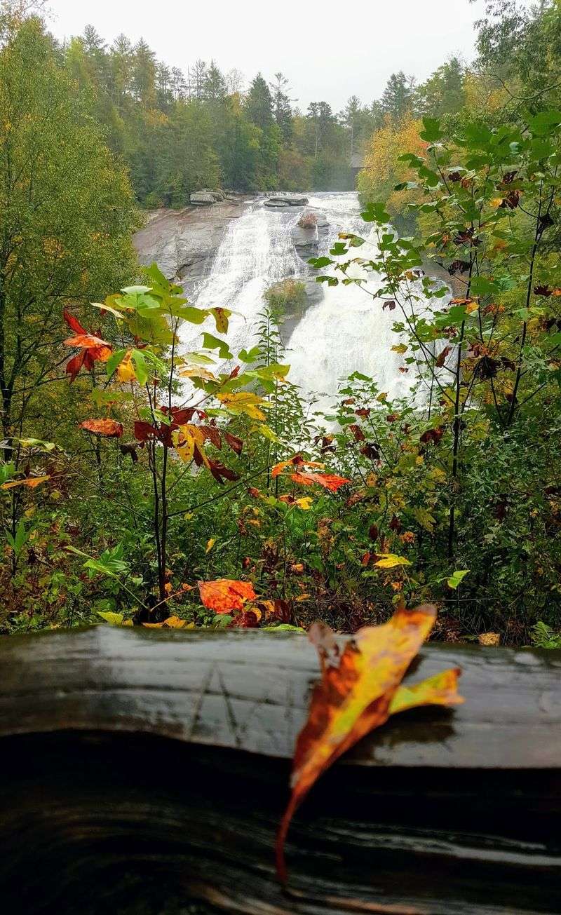 Hike to High Falls Near the Lake